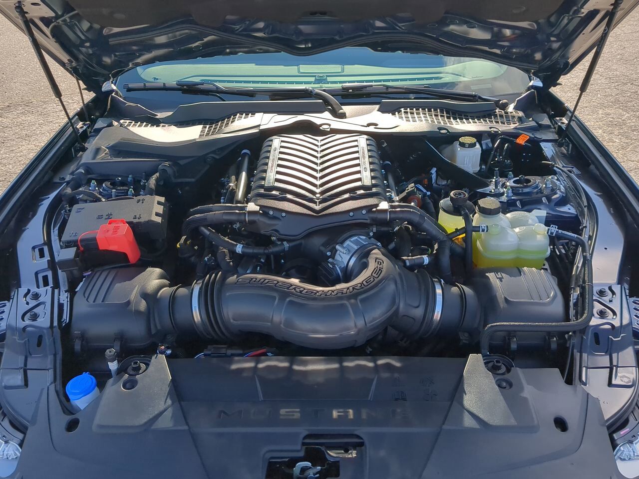 2025 Ford Mustang Dark Horse Winder GA