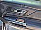 2025 Ford Mustang EcoBoost  TX