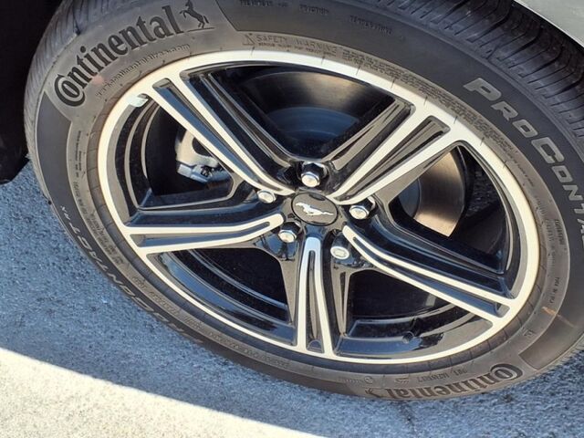 2025 Ford Mustang EcoBoost  TX