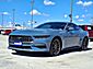 2025 Ford Mustang EcoBoost  TX 2025 Ford Mustang EcoBoost  TX