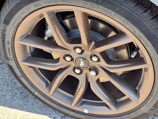 2025 Ford Mustang EcoBoost  TX 2025 Ford Mustang EcoBoost  TX