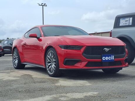2025 Ford Mustang EcoBoost  TX