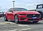 2025 Ford Mustang EcoBoost  TX