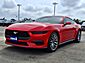 2025 Ford Mustang EcoBoost  TX
