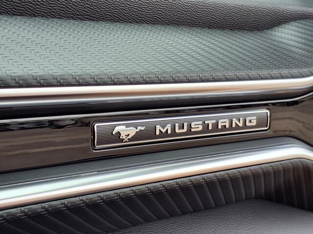 2025 Ford Mustang EcoBoost  TX