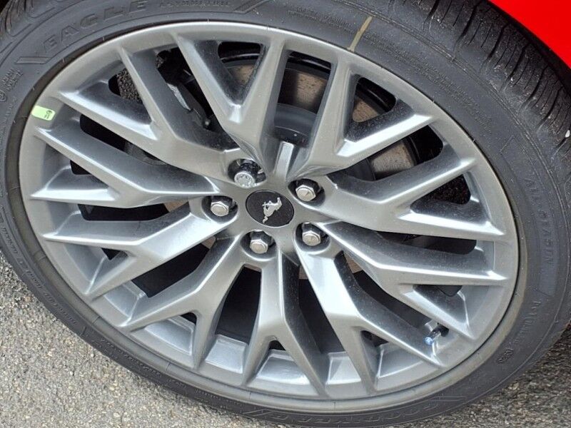 2025 Ford Mustang EcoBoost Del Rio TX