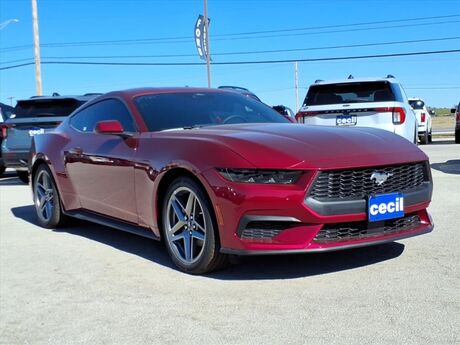 2025 Ford Mustang EcoBoost  TX