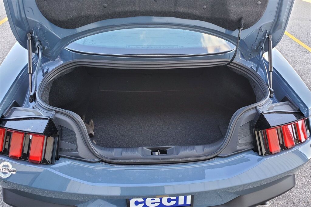 2025 Ford Mustang EcoBoost Hondo TX