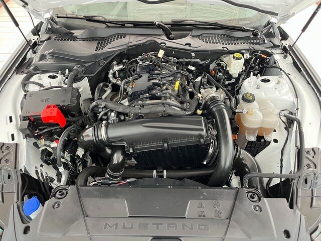 2025 Ford Mustang EcoBoost Carrollton TX