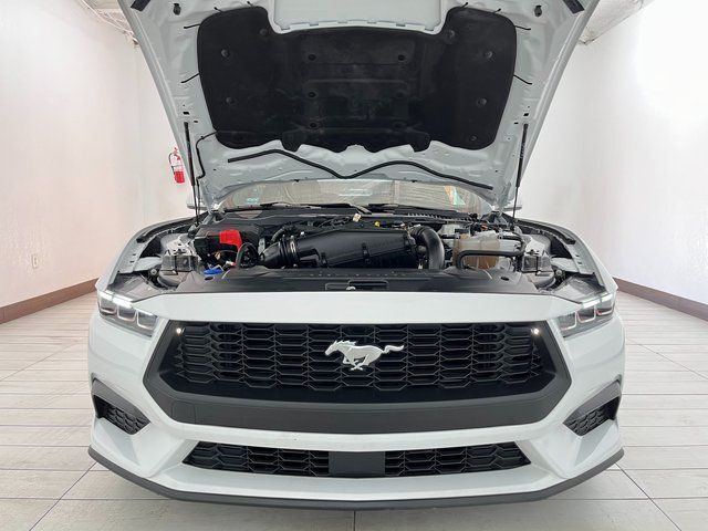 2025 Ford Mustang EcoBoost Carrollton TX