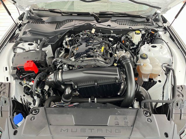 2025 Ford Mustang EcoBoost Carrollton TX