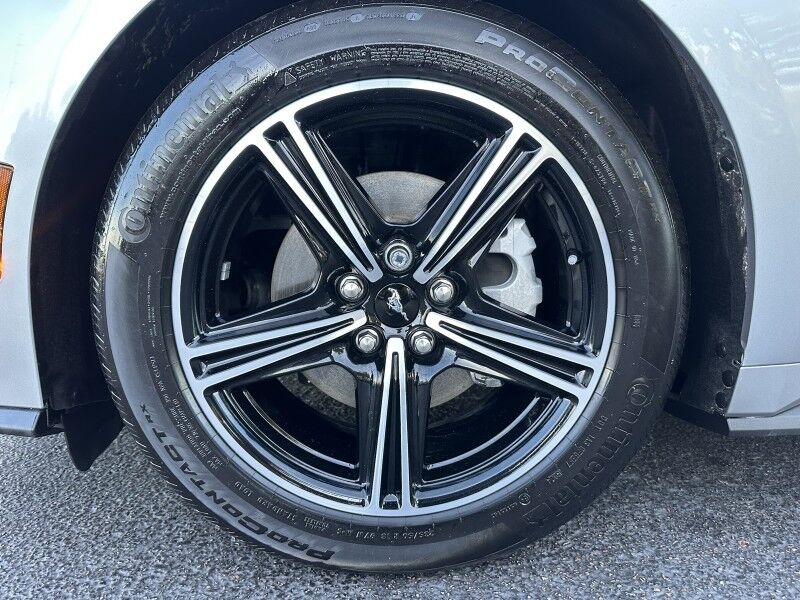 2025 Ford Mustang EcoBoost Jacksonville FL