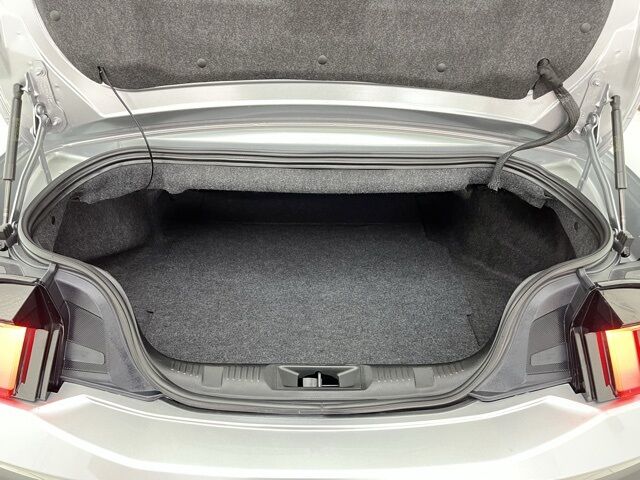 2025 Ford Mustang EcoBoost Premium Carrollton TX