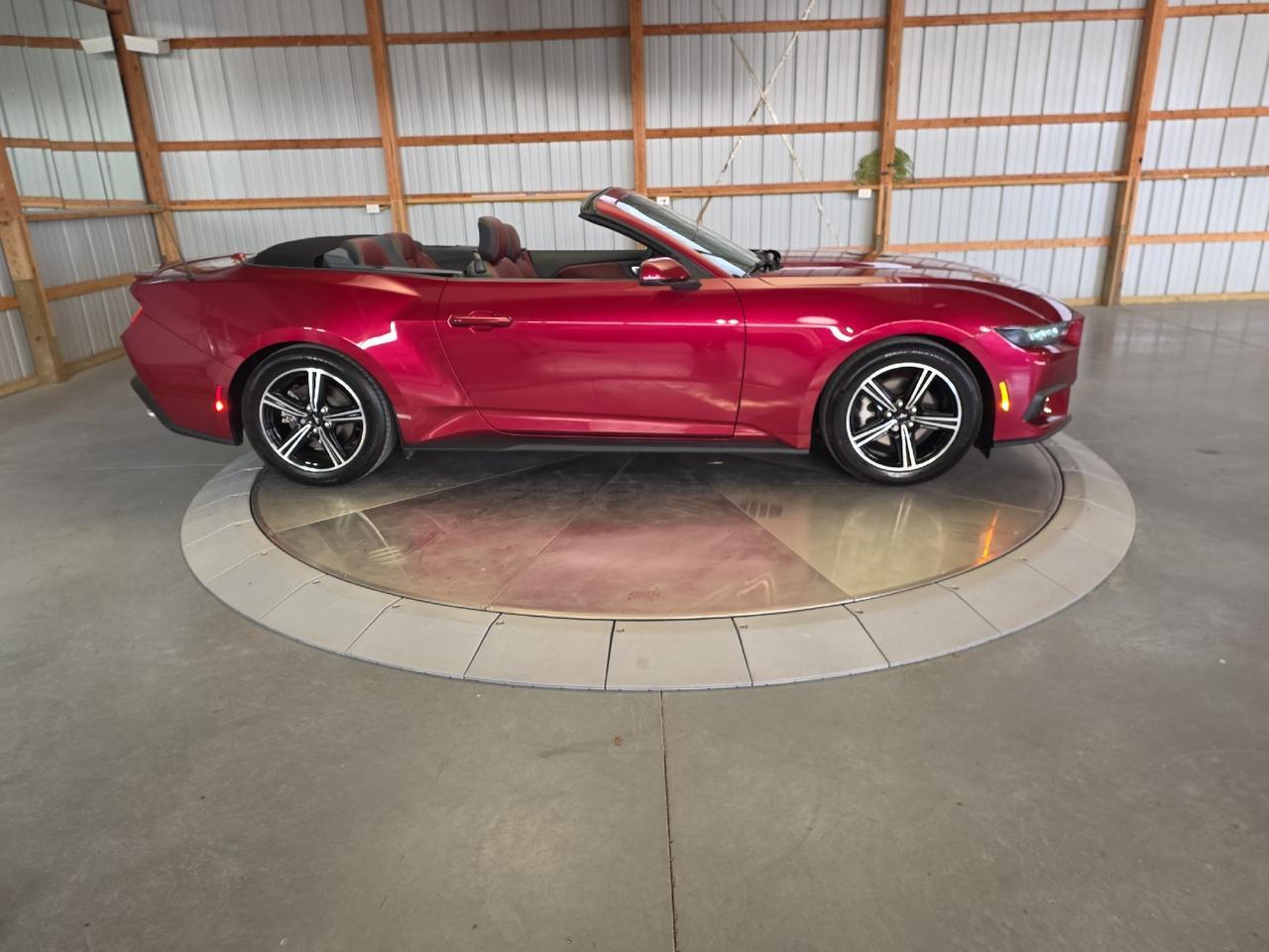 2025 Ford Mustang EcoBoost Premium Sand Lake NY