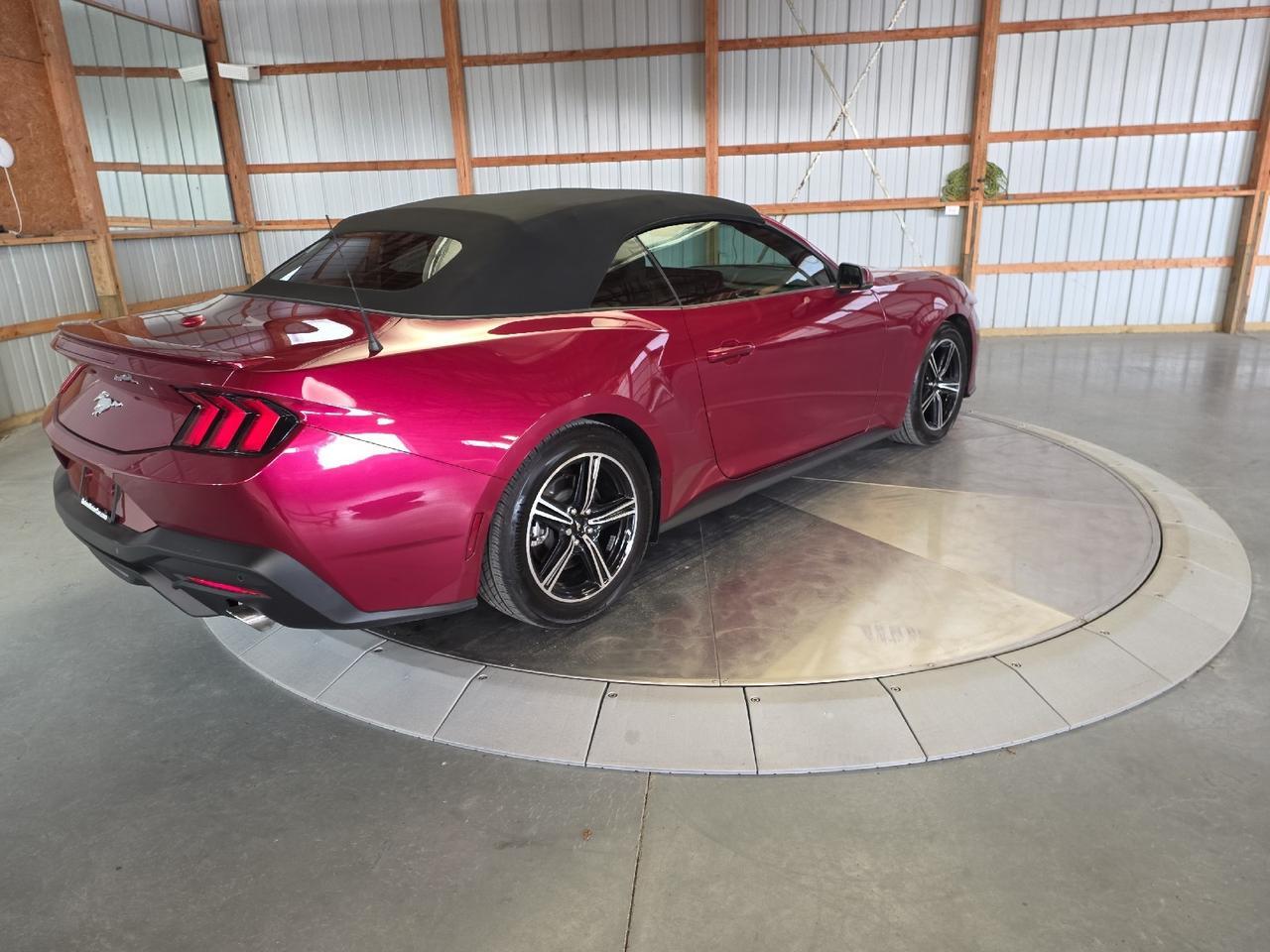 2025 Ford Mustang EcoBoost Premium Sand Lake NY