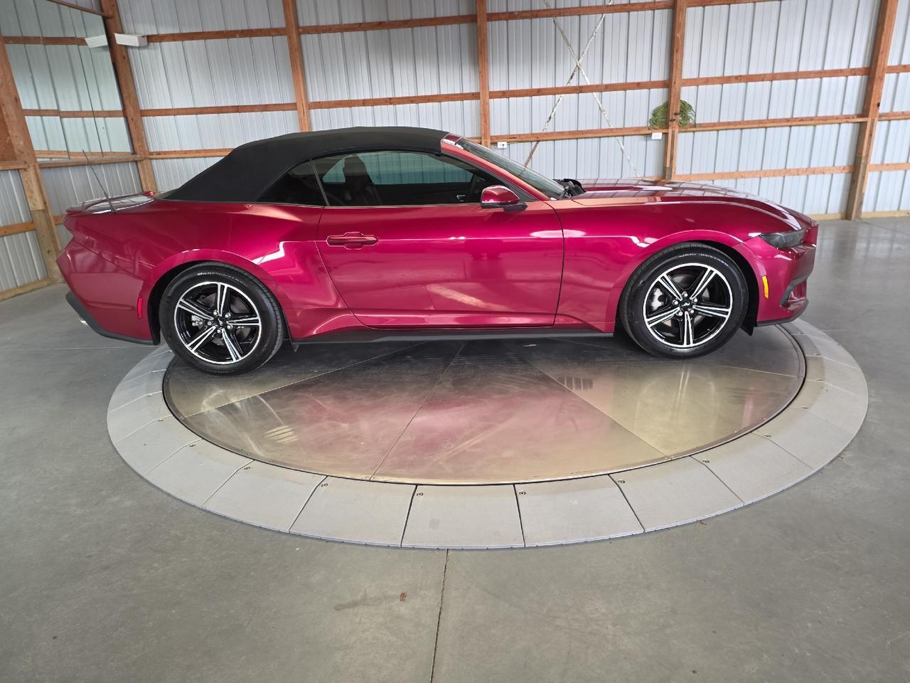 2025 Ford Mustang EcoBoost Premium Sand Lake NY