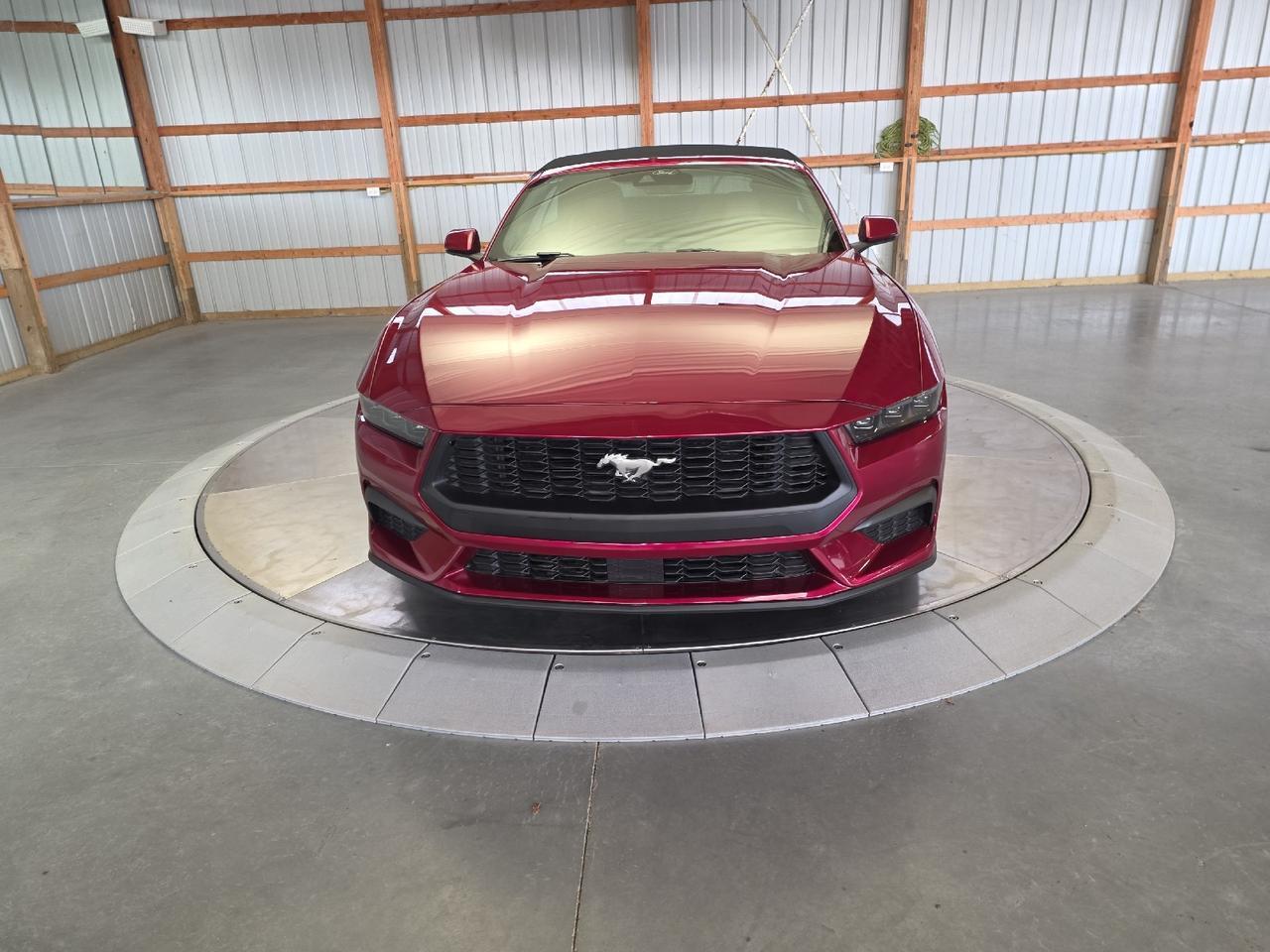 2025 Ford Mustang EcoBoost Premium Sand Lake NY