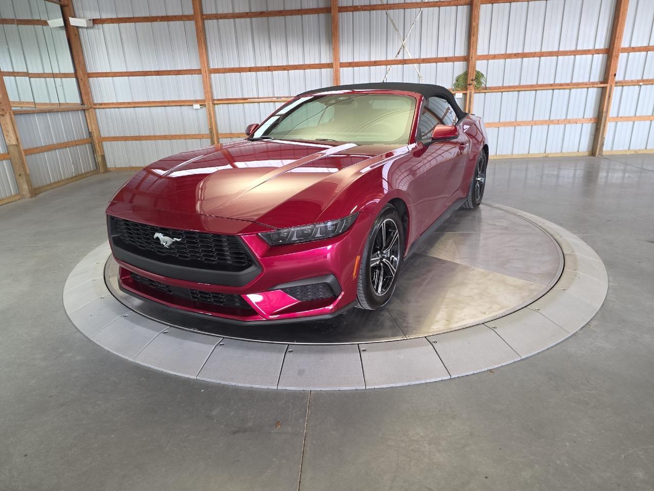 2025 Ford Mustang EcoBoost Premium Sand Lake NY
