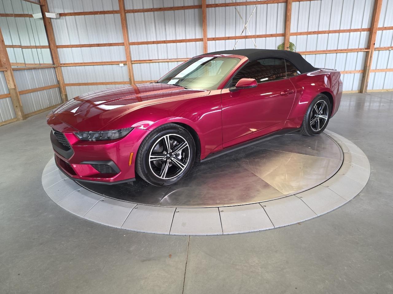 2025 Ford Mustang EcoBoost Premium Sand Lake NY