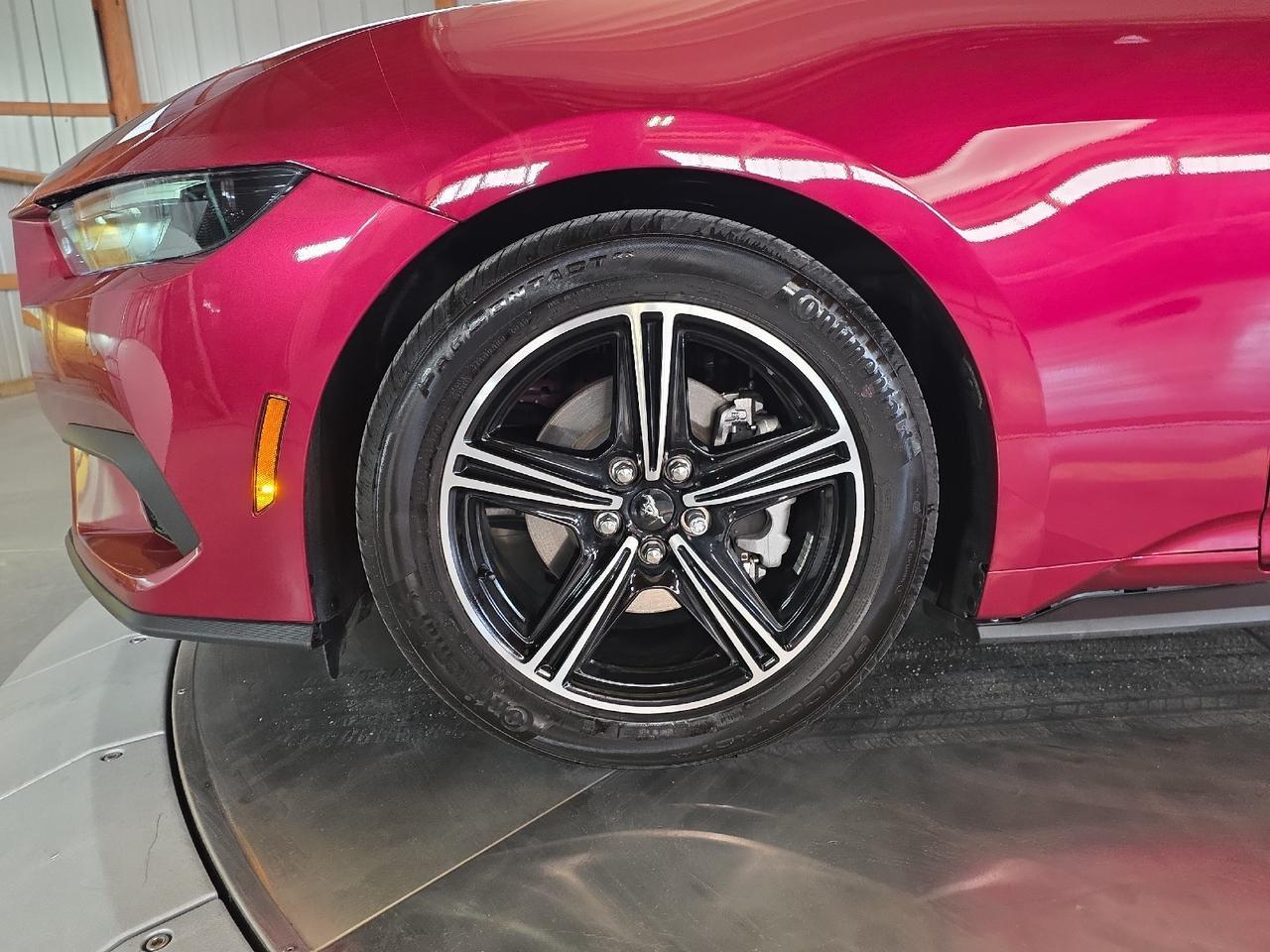 2025 Ford Mustang EcoBoost Premium Sand Lake NY