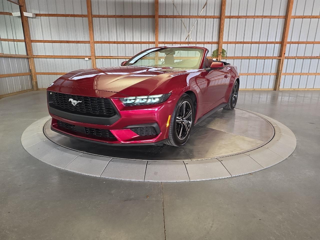 2025 Ford Mustang EcoBoost Premium Sand Lake NY