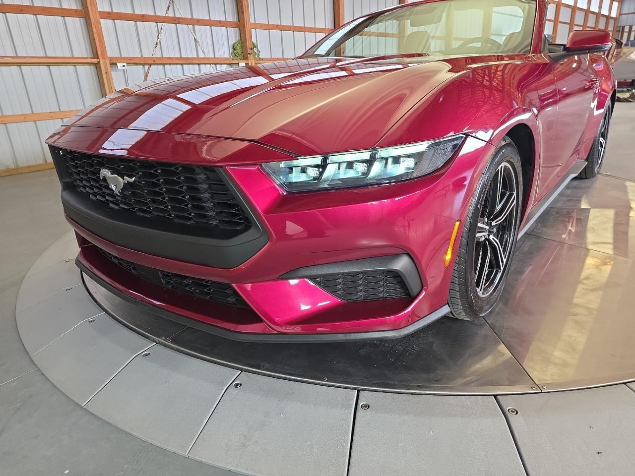 2025 Ford Mustang EcoBoost Premium Sand Lake NY