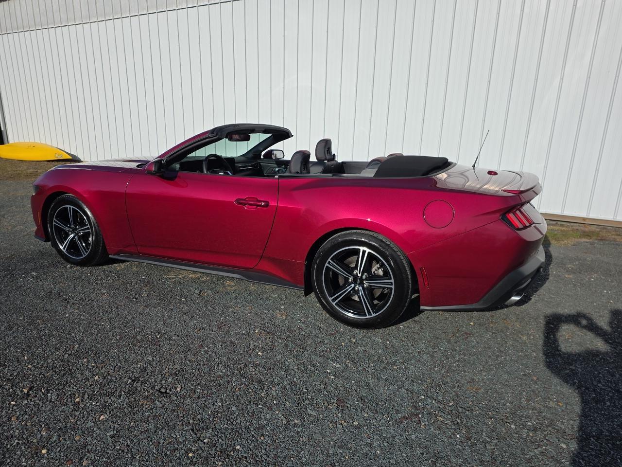 2025 Ford Mustang EcoBoost Premium Sand Lake NY