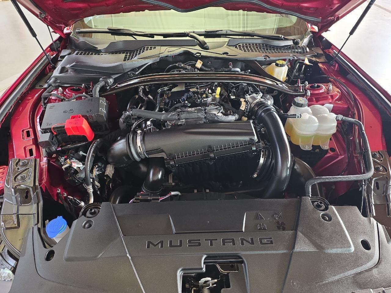 2025 Ford Mustang EcoBoost Premium Sand Lake NY