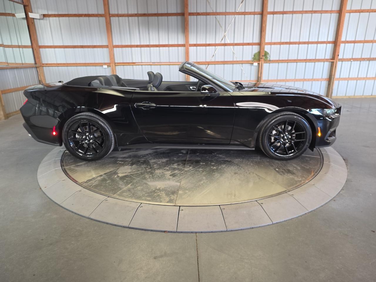 2025 Ford Mustang EcoBoost Sand Lake NY