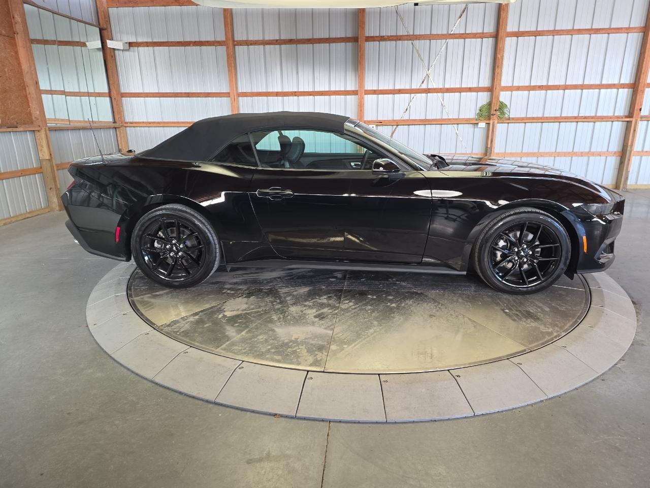 2025 Ford Mustang EcoBoost Sand Lake NY