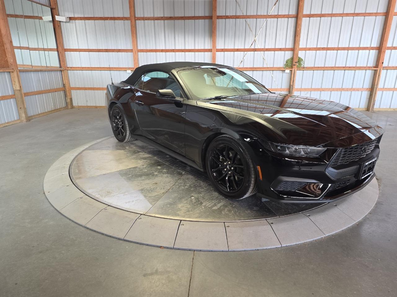 2025 Ford Mustang EcoBoost Sand Lake NY