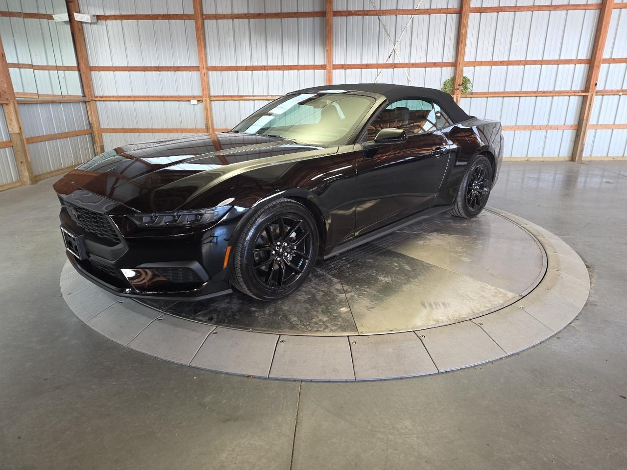 2025 Ford Mustang EcoBoost Sand Lake NY