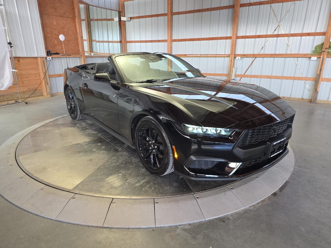 2025 Ford Mustang EcoBoost Sand Lake NY