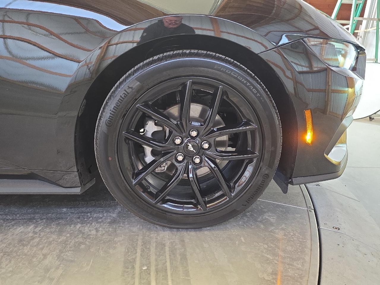 2025 Ford Mustang EcoBoost Sand Lake NY