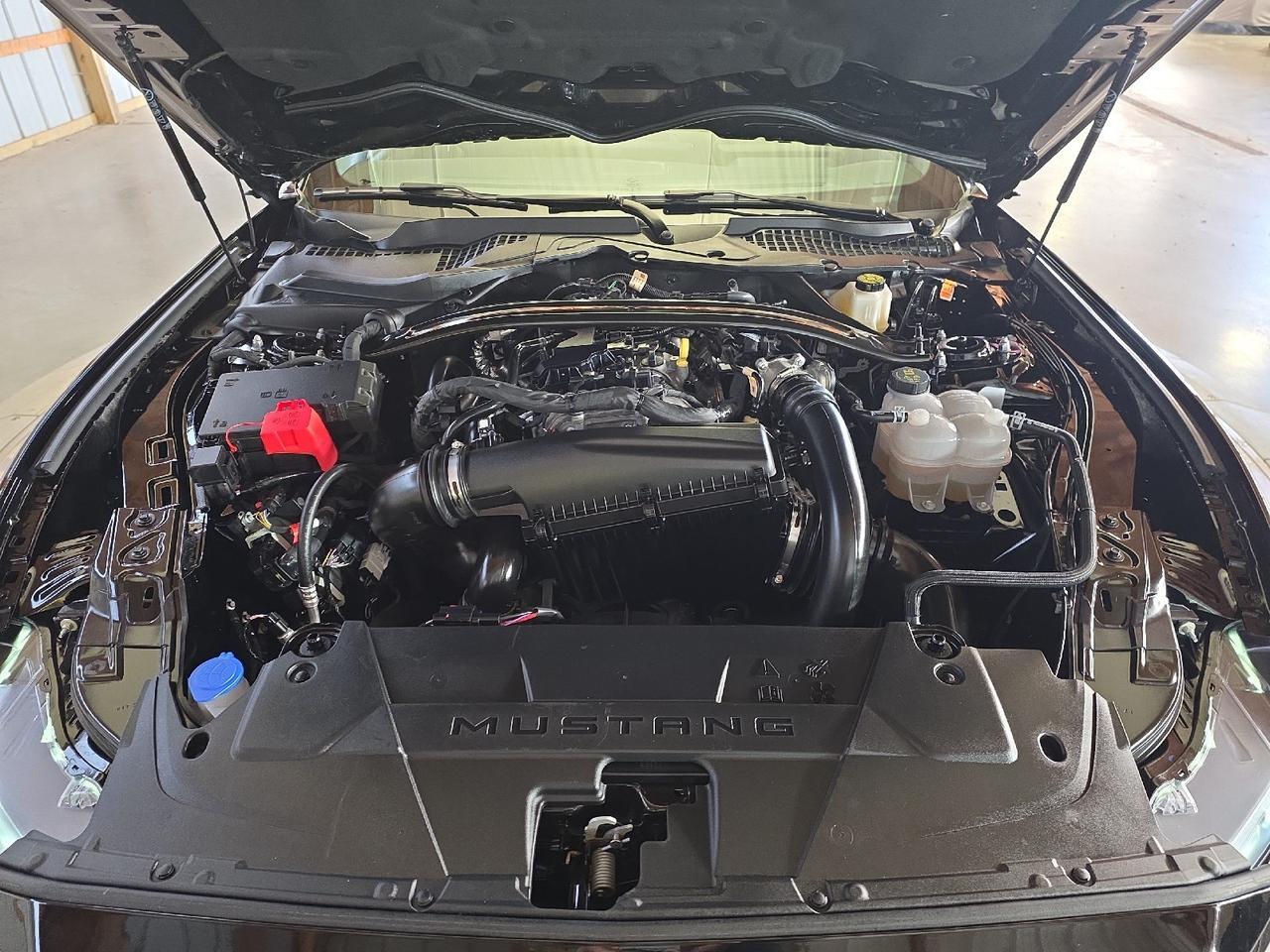 2025 Ford Mustang EcoBoost Sand Lake NY