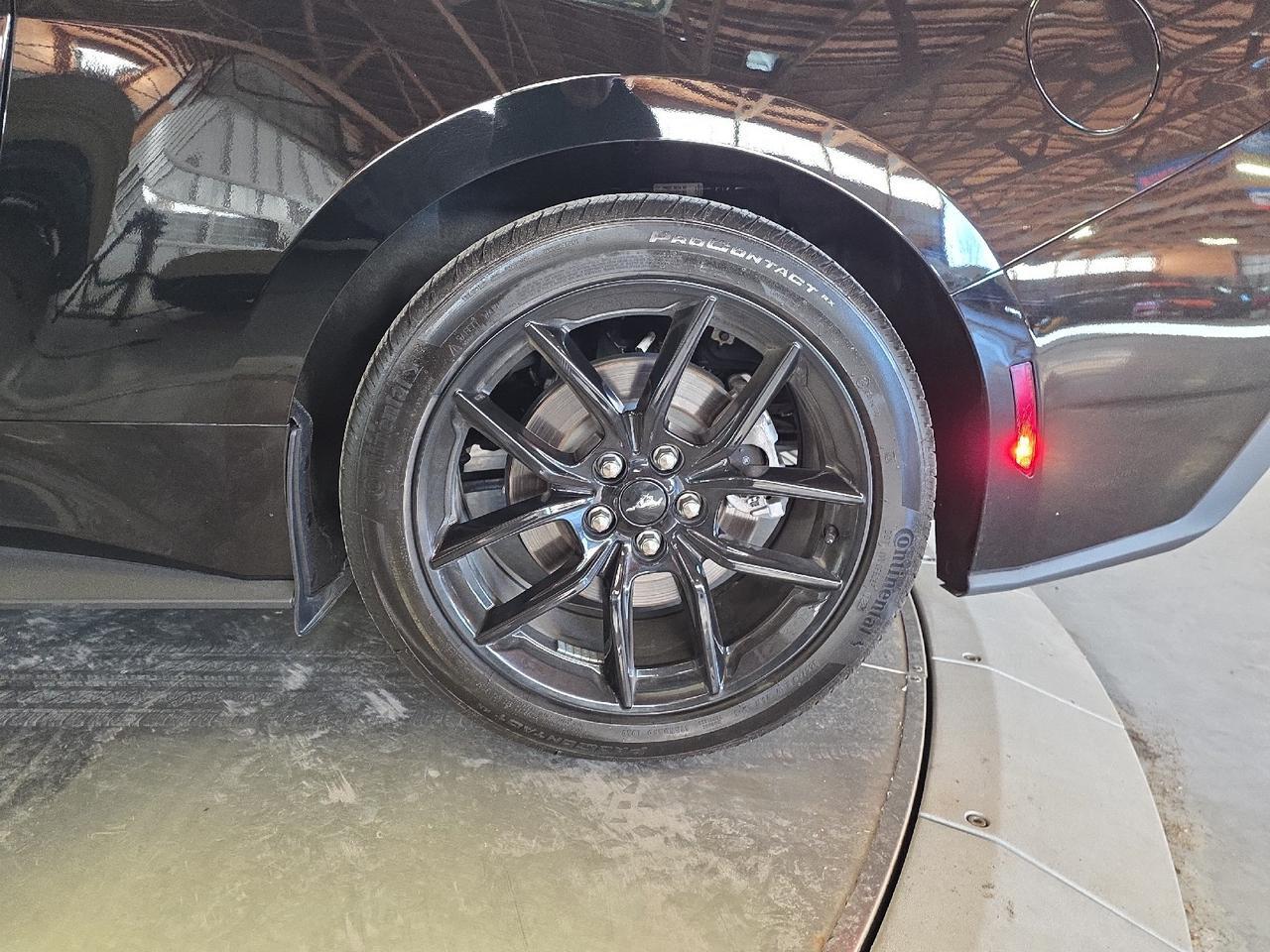 2025 Ford Mustang EcoBoost Sand Lake NY