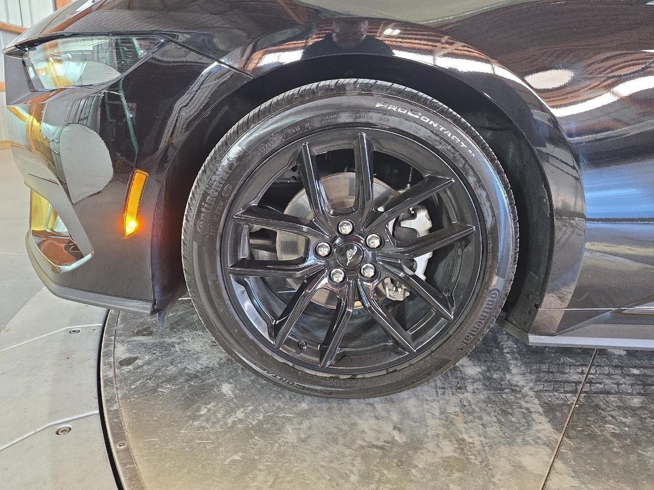 2025 Ford Mustang EcoBoost Sand Lake NY