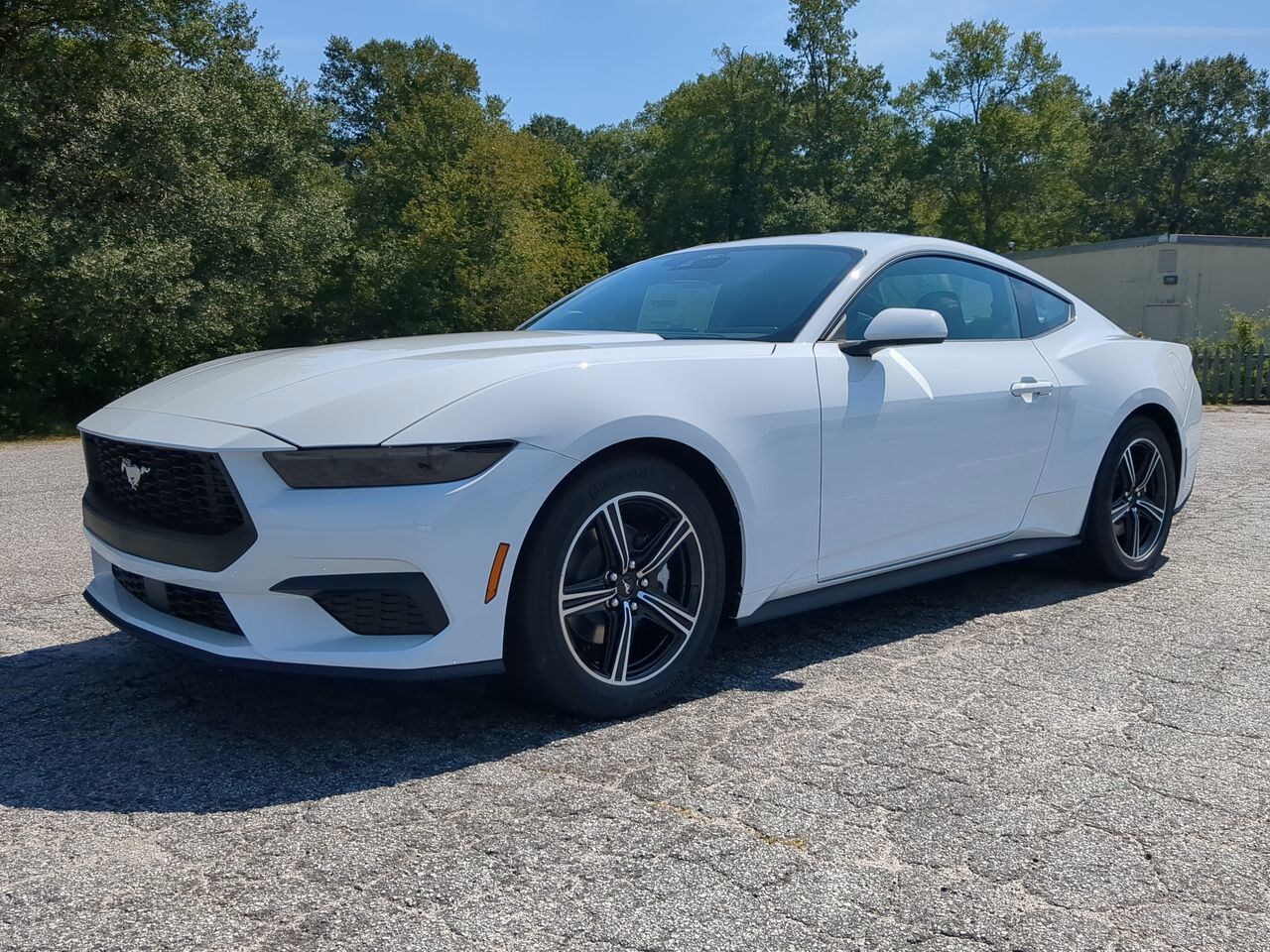 2025 Ford Mustang EcoBoost Winder GA