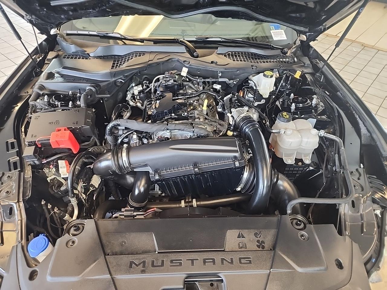 2025 Ford Mustang EcoBoost Richmond VA
