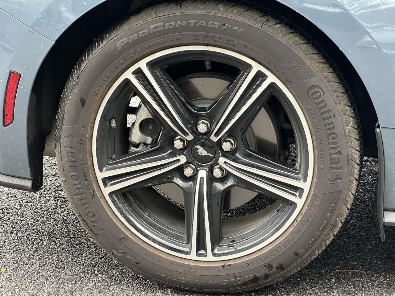2025 Ford Mustang EcoBoost Alexandria VA