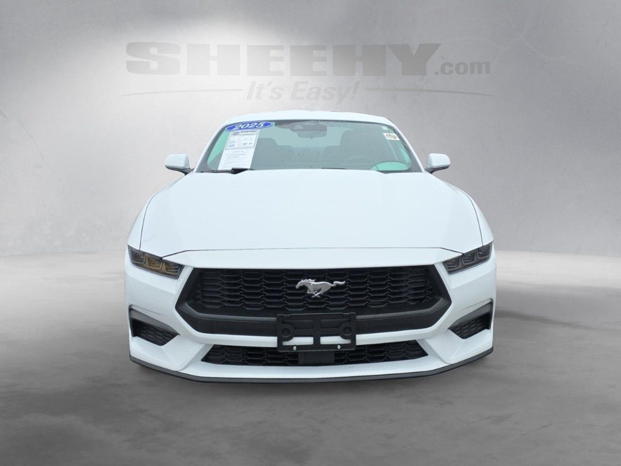 2025 Ford Mustang EcoBoost Glen Burnie MD