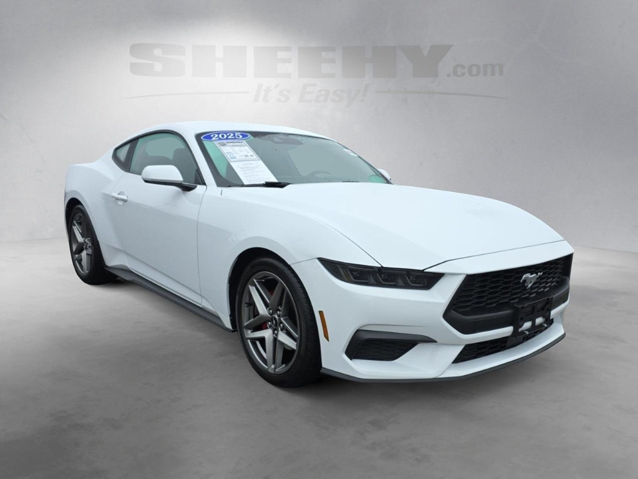 2025 Ford Mustang EcoBoost Glen Burnie MD