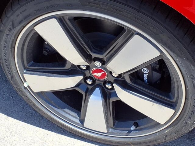 2025 Ford Mustang GT Premium  TX
