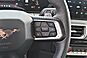 2025 Ford Mustang GT Premium  TX 2025 Ford Mustang GT Premium  TX