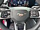 2025 Ford Mustang GT Premium Oshkosh WI
