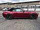 2025 Ford Mustang GT Premium Oshkosh WI