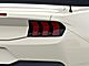 2025 Ford Mustang GT Premium Oshkosh WI