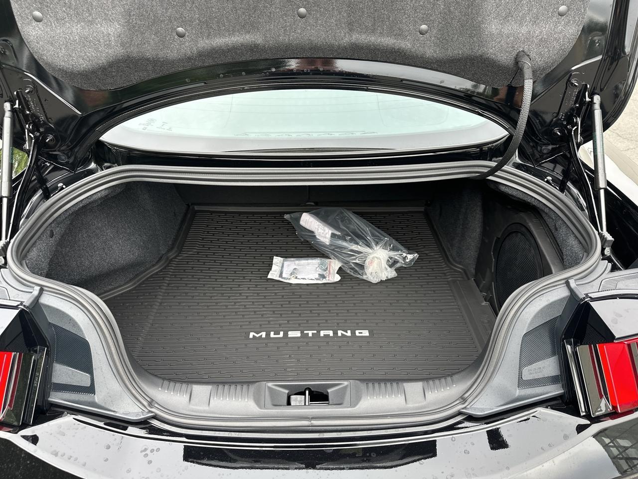 2025 Ford Mustang GT Premium Chantilly VA