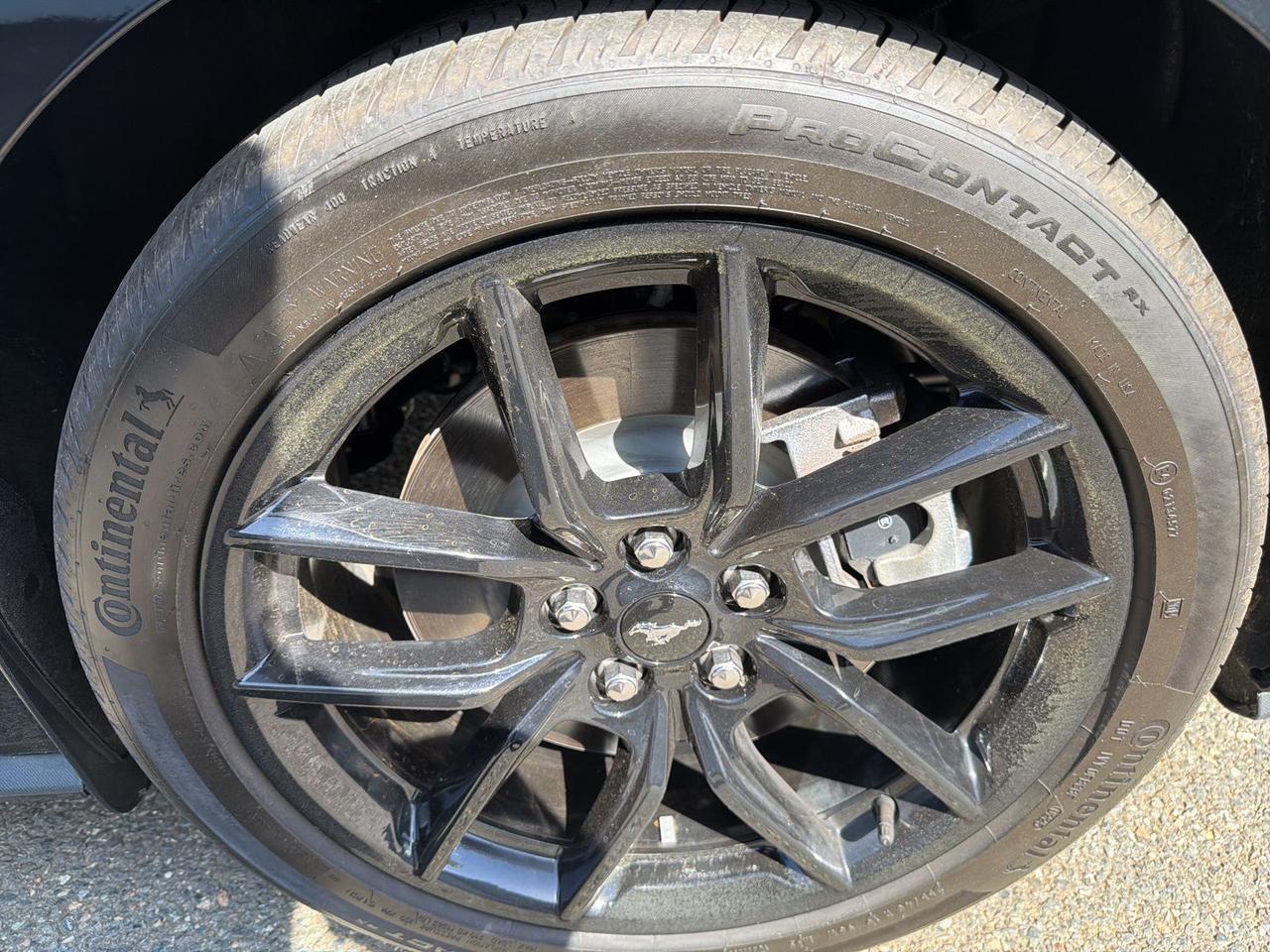 2025 Ford Mustang GT Premium Ashland VA