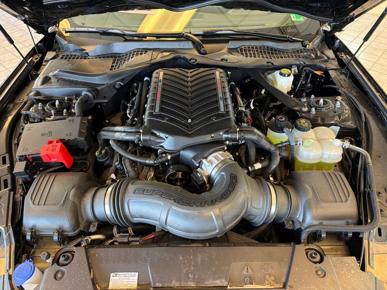 2025 Ford Mustang GT Premium Richmond VA